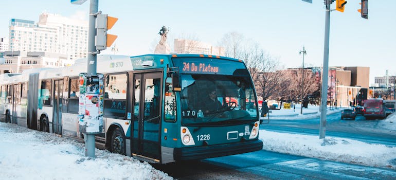 Bus on the street