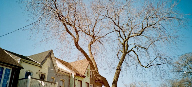 A house in Toronto