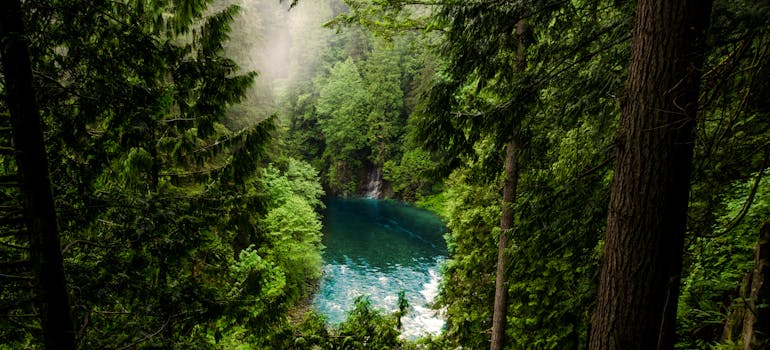 A park in Canada