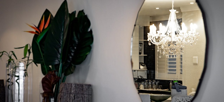 a plan next to a wall mirror