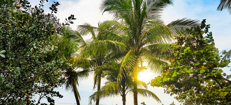 beaches in Florida