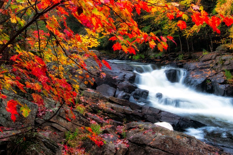 beautiful nature in Ontario